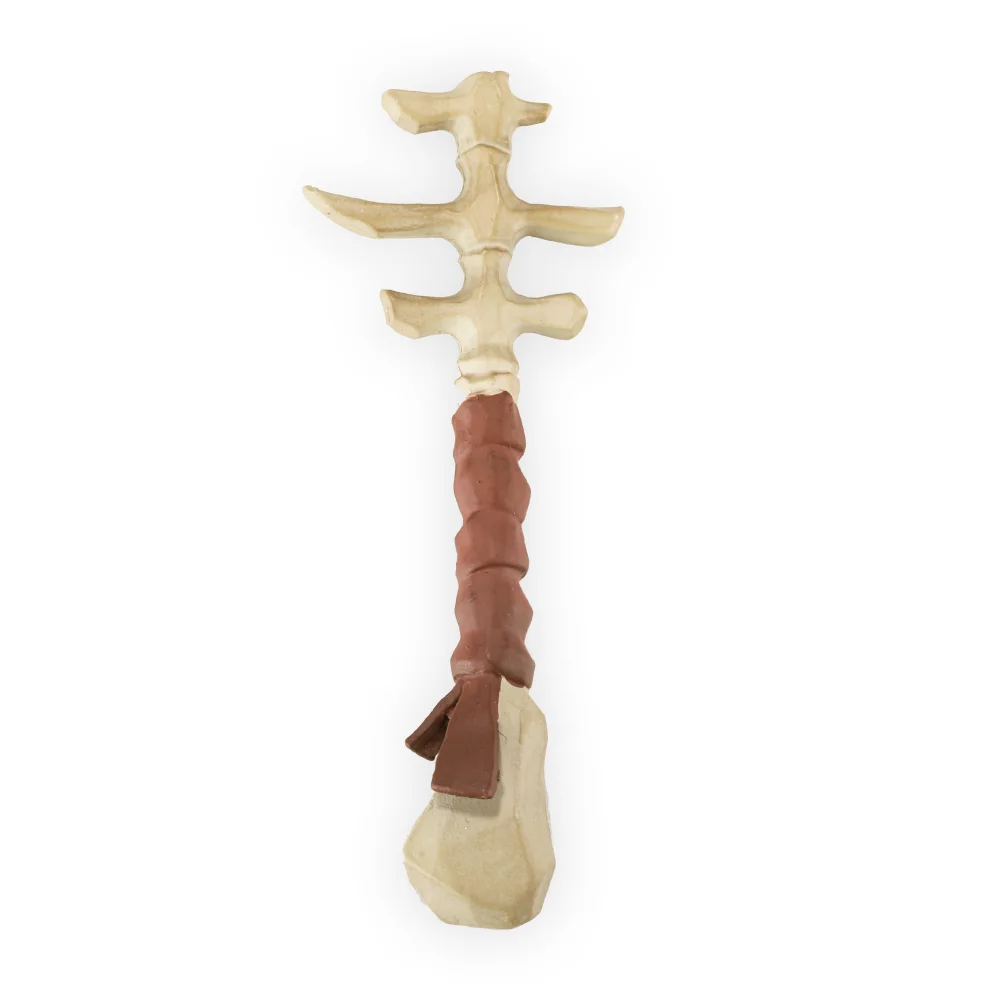 DUST! Sea of Thieves Skeleton Key - Rare Store Exclusive Afbeelding 1