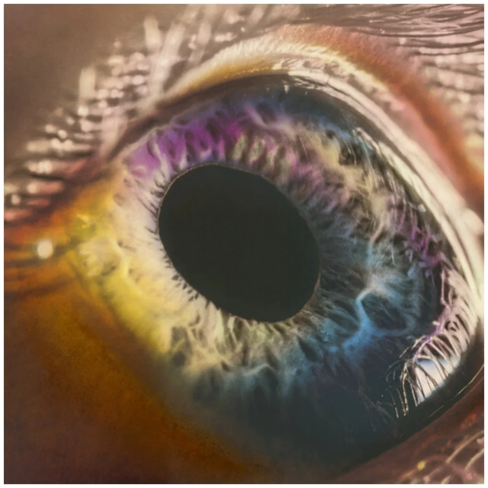 Arcade Fire - WE 180g Vinyl (White) Afbeelding 1