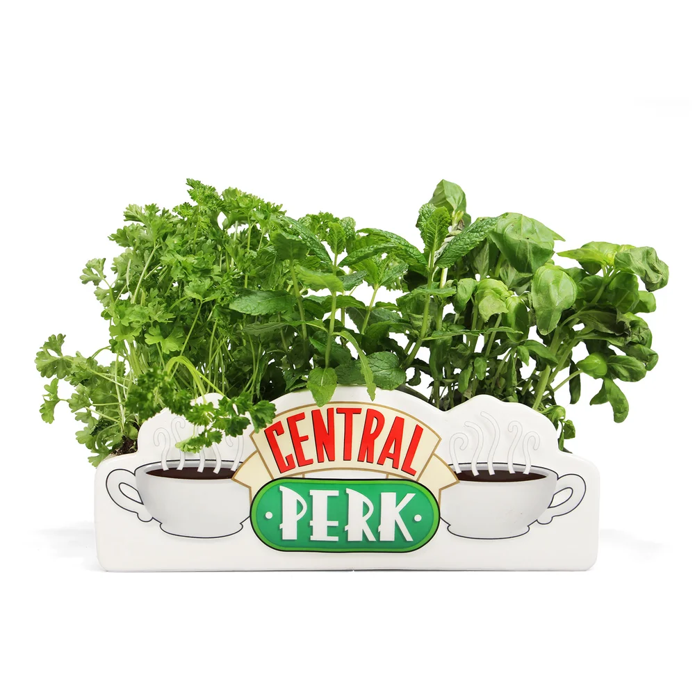 Friends Central Perk Table Top Vase Afbeelding 1