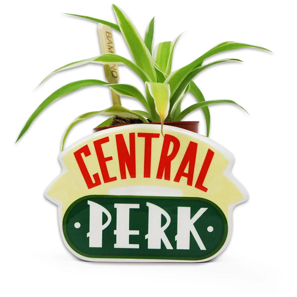 Friends Central Perk Plant Pot Afbeelding 1