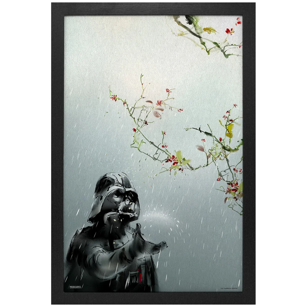 Star Wars Seasons Spring Vader Framed Art Print Afbeelding 1