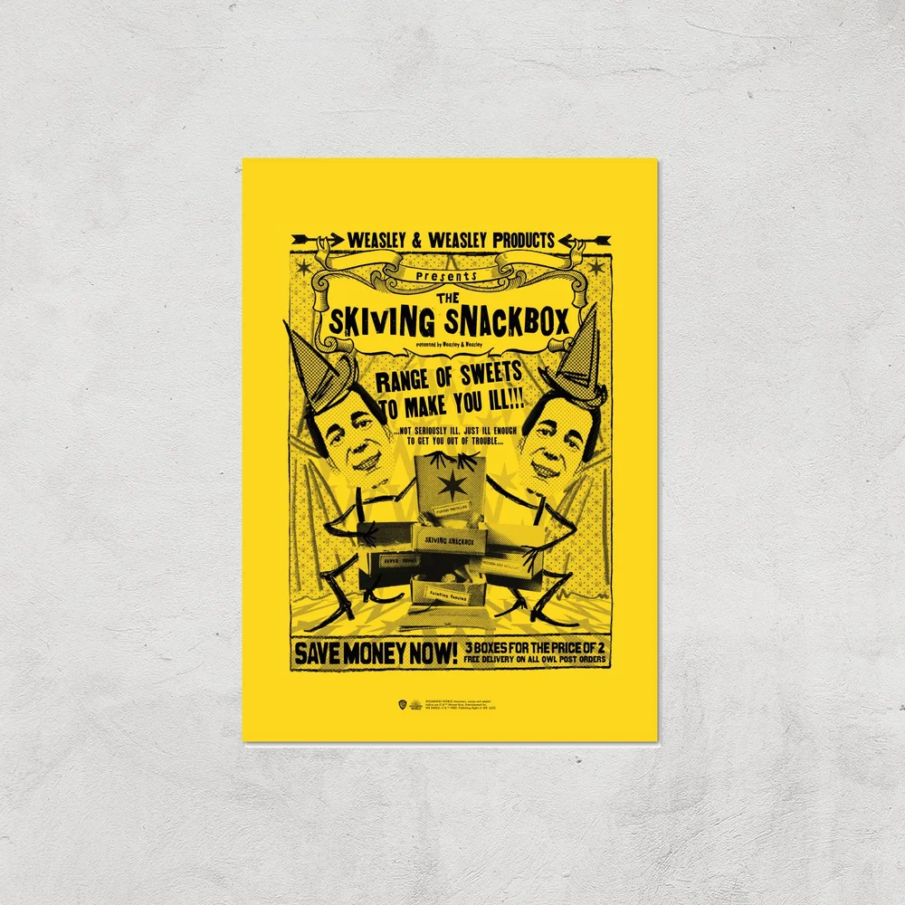 Decorsome x Harry Potter Skiving Giclee Art Print - A4 - Print Only Afbeelding 1