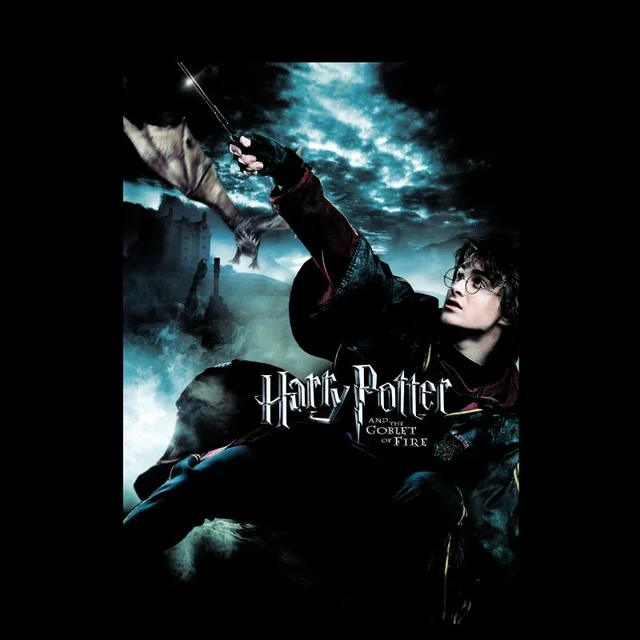 Harry Potter Goblet Of Fire Unisex T-Shirt - Black