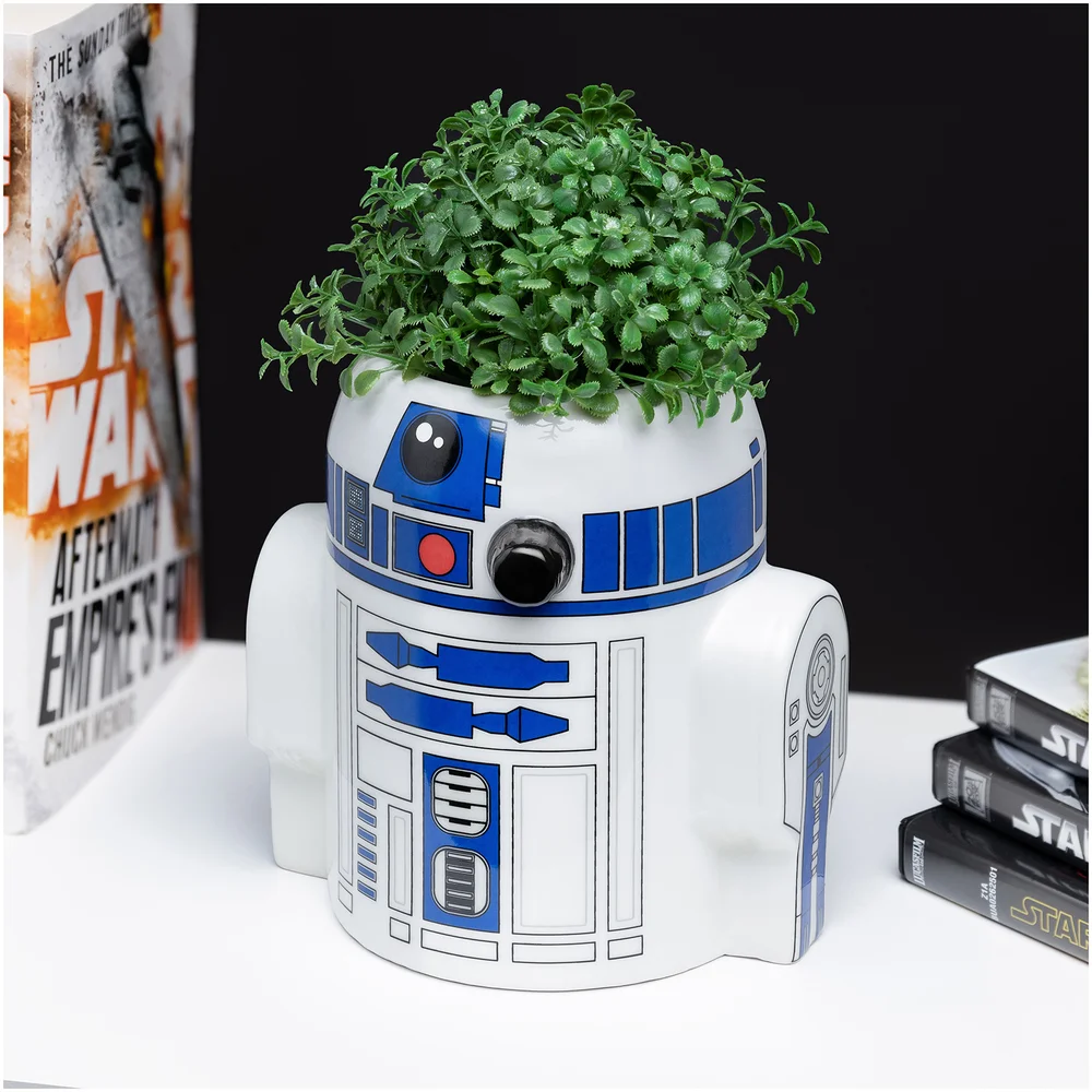 Star Wars R2D2 Pen / Plant Pot Afbeelding 1