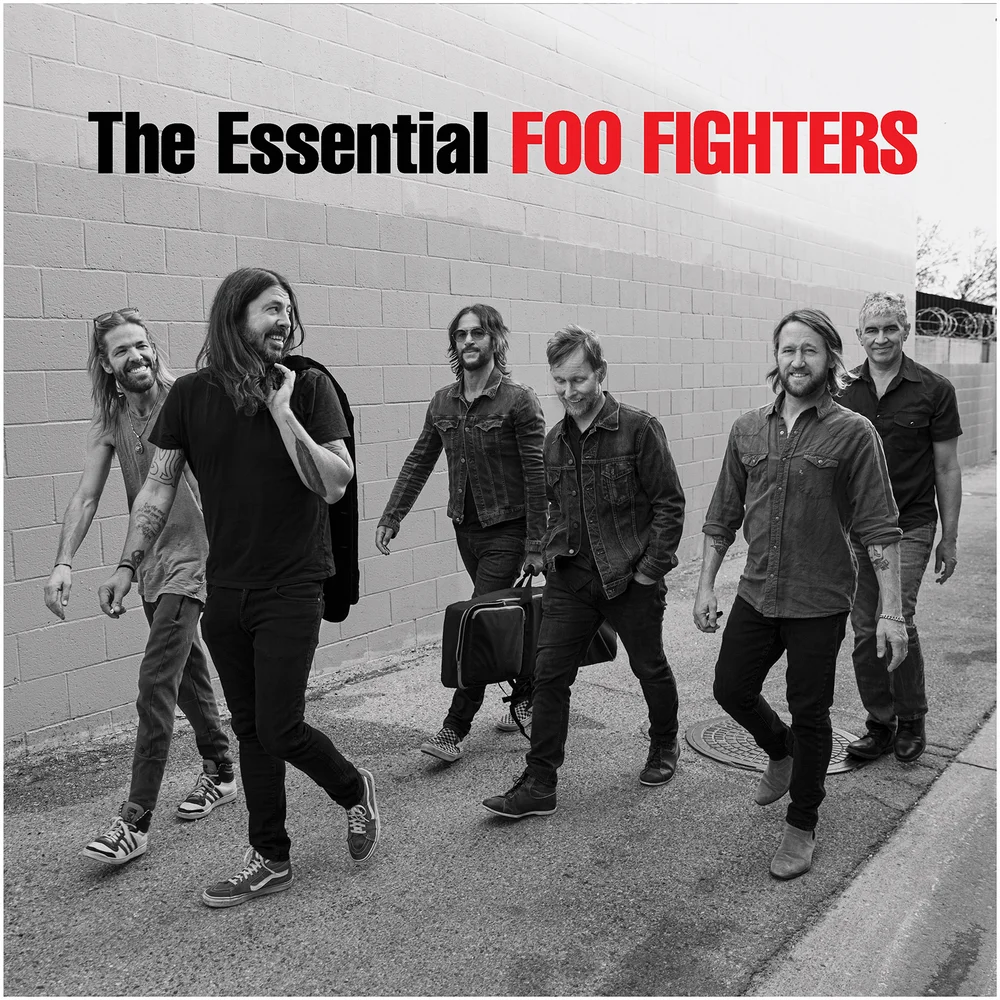 Foo Fighters - The Essential Foo Fighters Vinyl 2LP Afbeelding 1