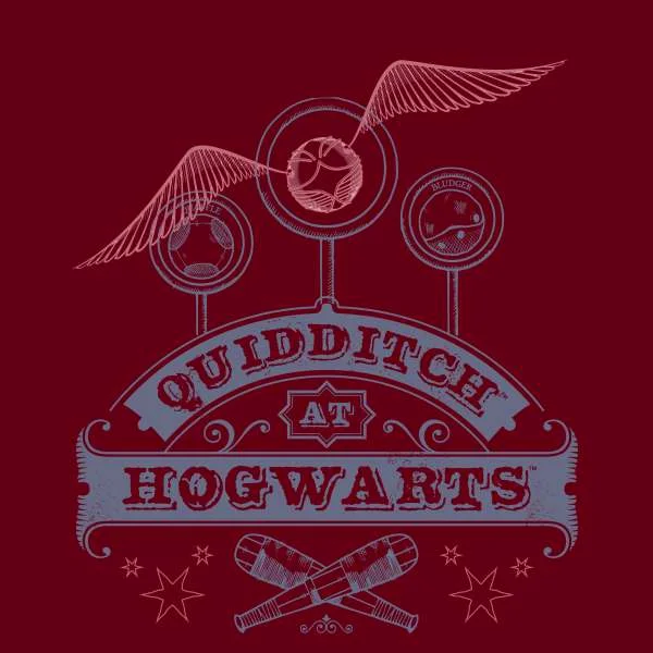 Harry Potter Quidditch At Hogwarts Men's T-Shirt - Burgundy