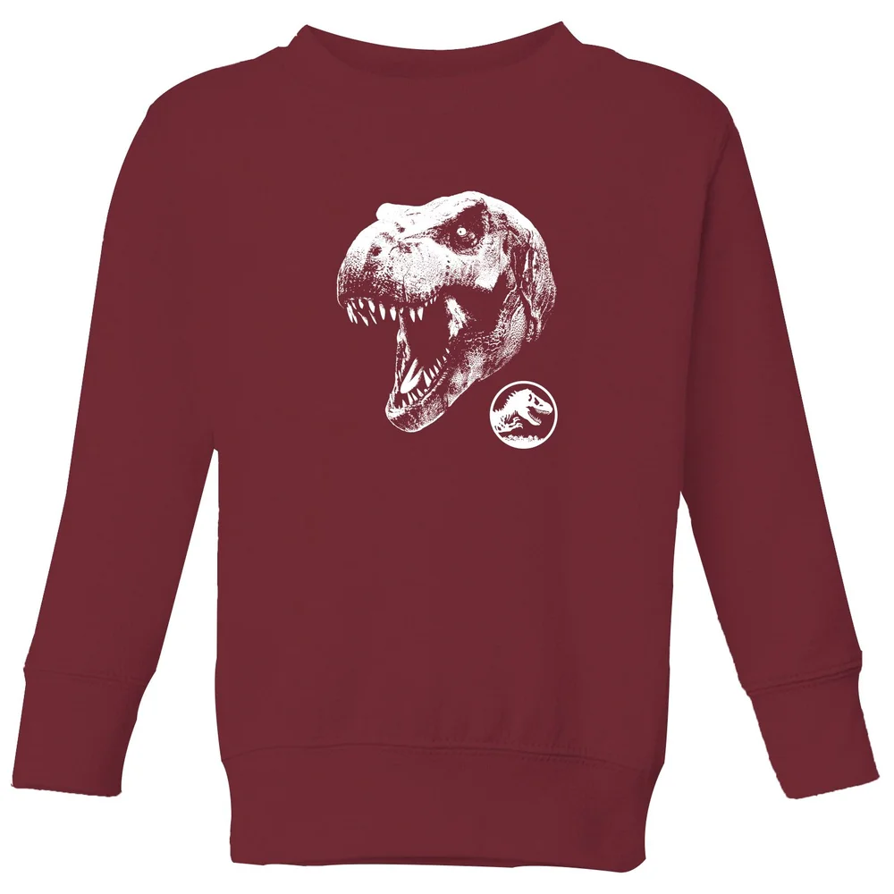 Jurassic Park T Rex Kids' Sweatshirt - Burgundy - 98/104 (3-4 jaar) Afbeelding 1