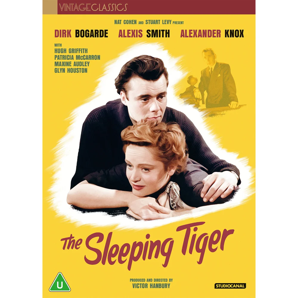 The Sleeping Tiger (Vintage Classics) Afbeelding 1