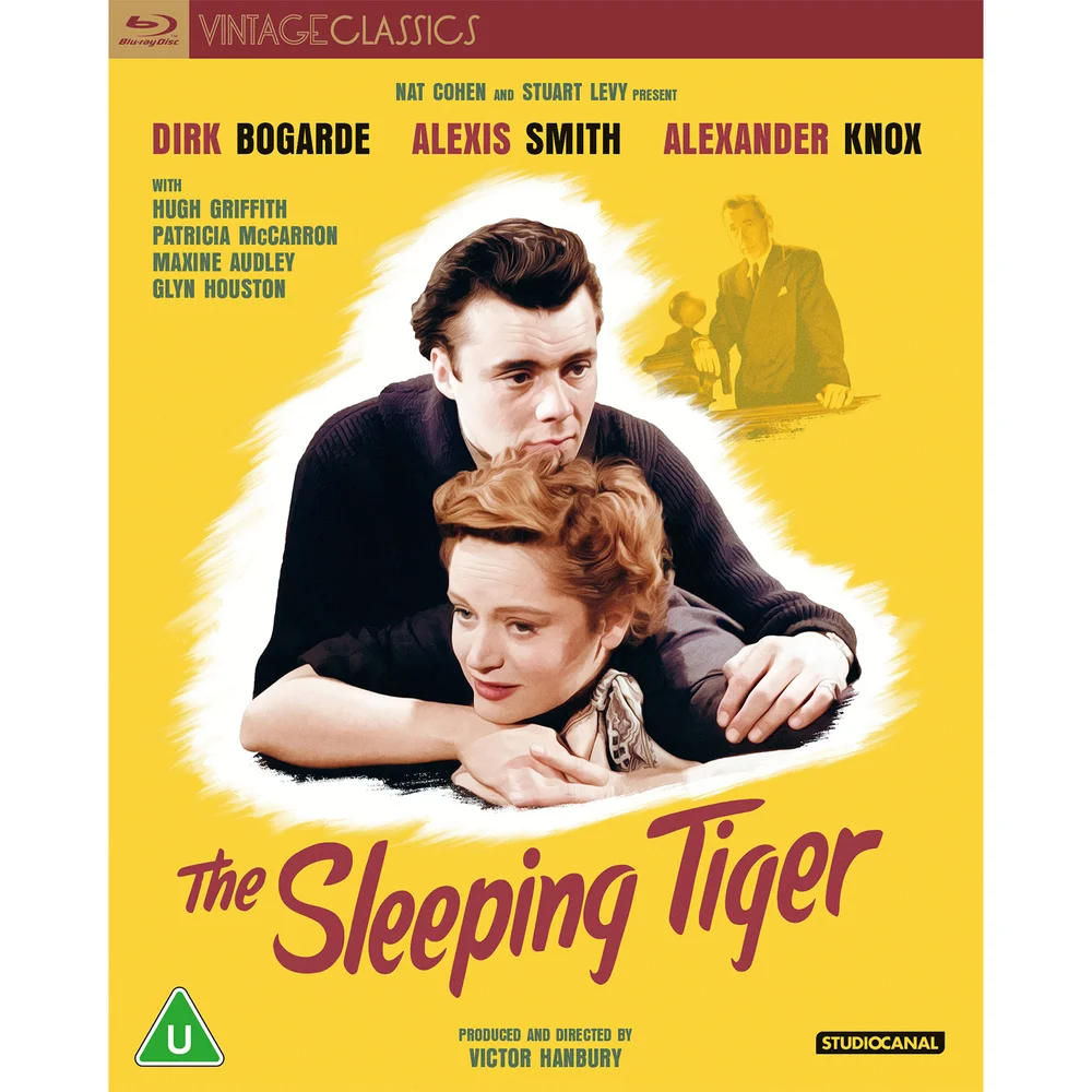 The Sleeping Tiger (Vintage Classics) Afbeelding 1