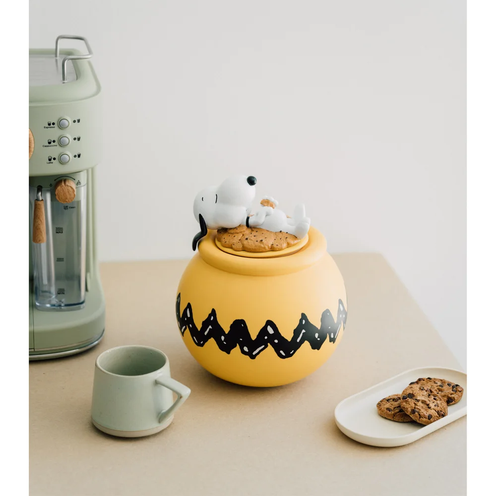 Snoopy Cookie Jar Afbeelding 1