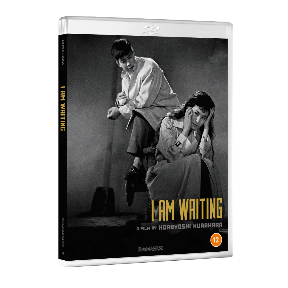 I Am Waiting Afbeelding 1