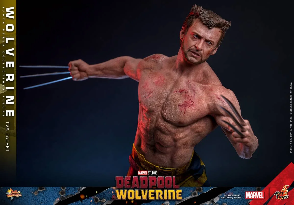 Hot Toys 1:6 Wolverine (TVA Jacket Version) - Deadpool & Wolverine Afbeelding 1