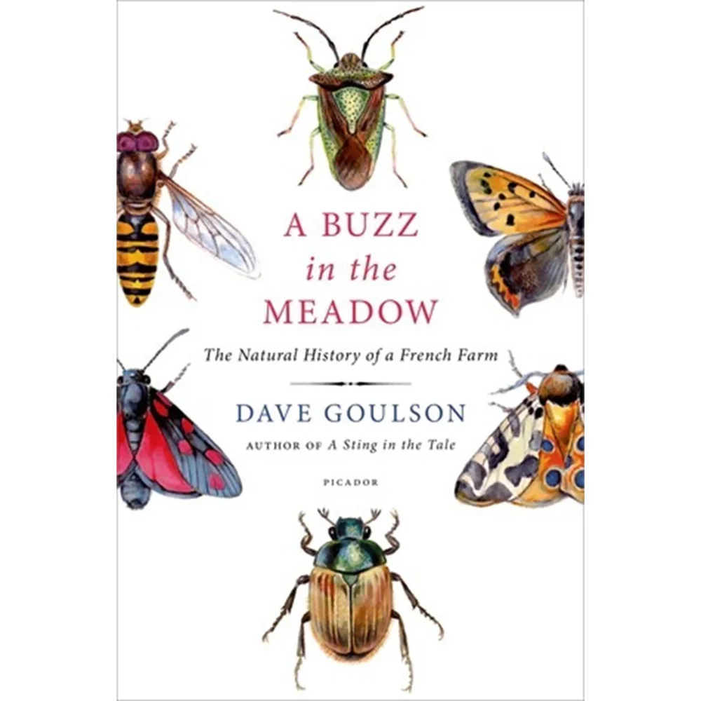 Buzz in the Meadow - Dave Goulson Afbeelding 1