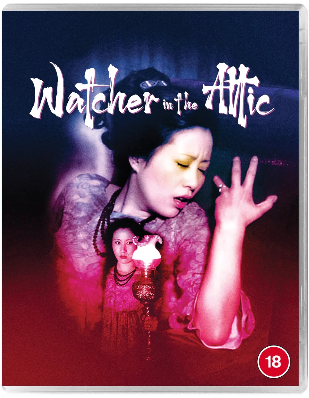 Watcher in the Attic Afbeelding 1