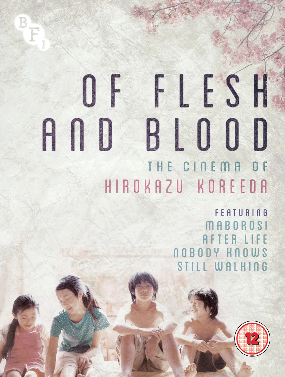 Of Flesh and Blood: The Cinema of Hirokazu Koreeda Afbeelding 1