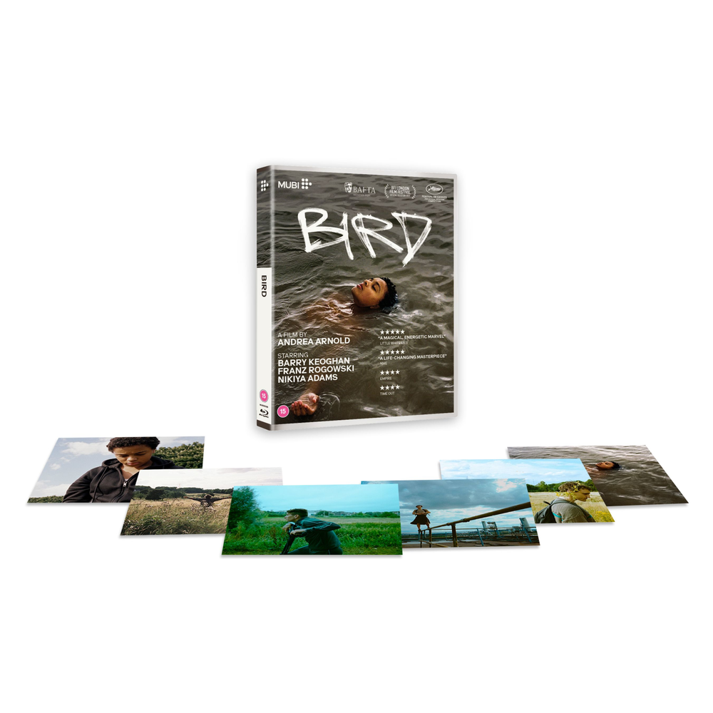 Bird Afbeelding 1