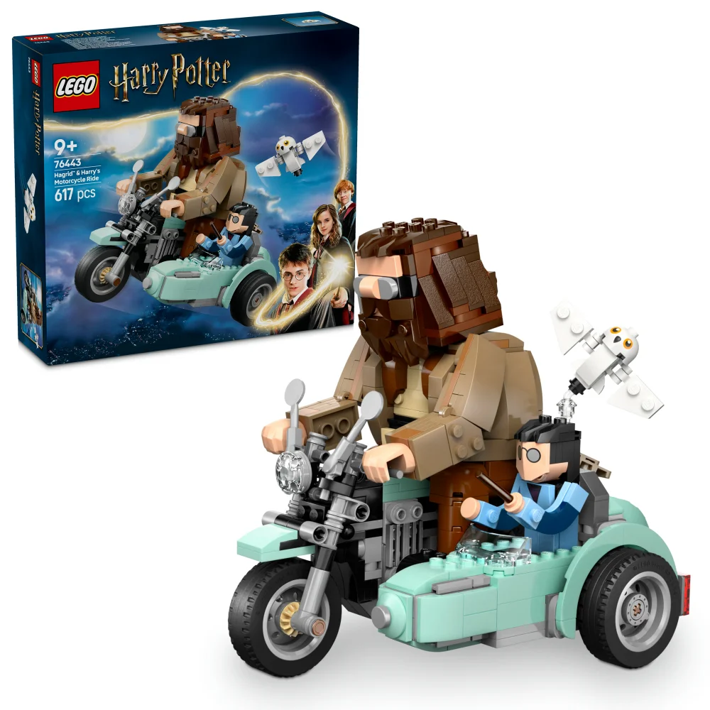 LEGO Harry Potter Hagrid & Harry’s Motorcycle Ride Toy 76443 Afbeelding 1