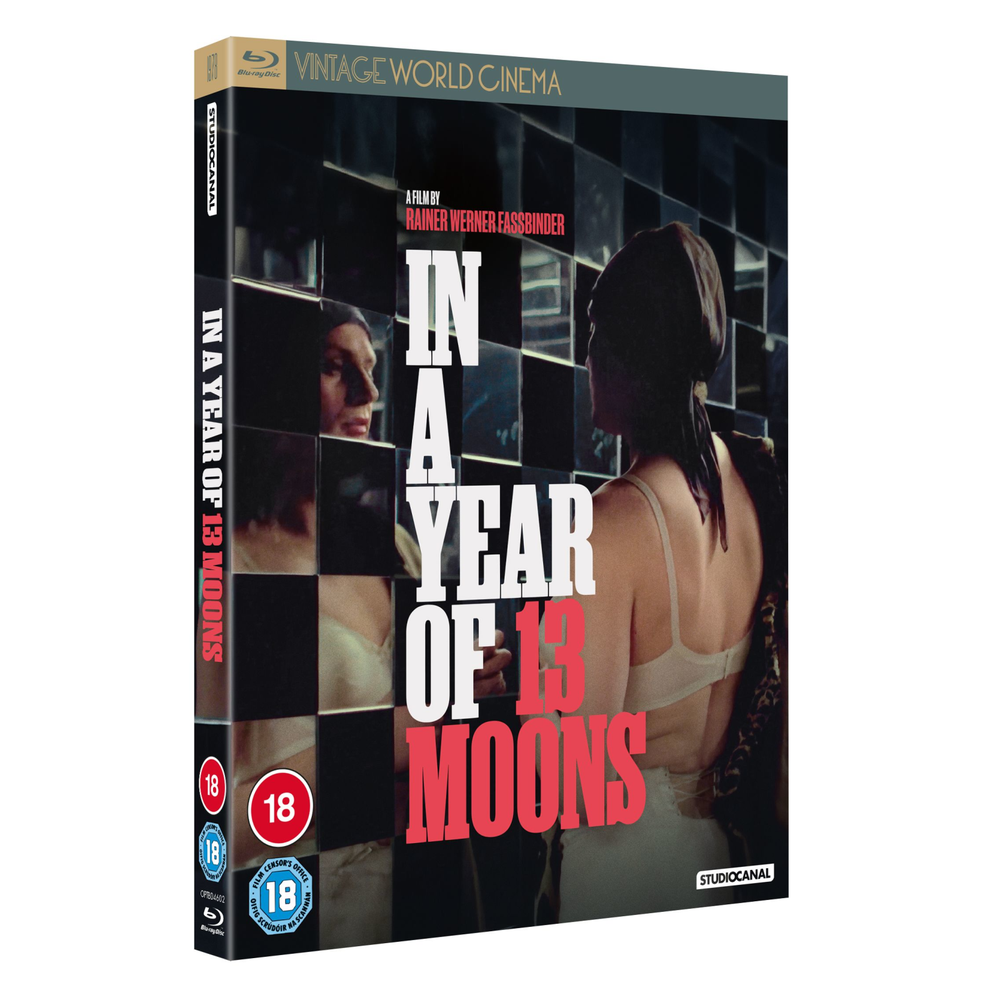 IN A YEAR OF 13 MOONS (VINTAGE WORLD CINEMA) Afbeelding 1