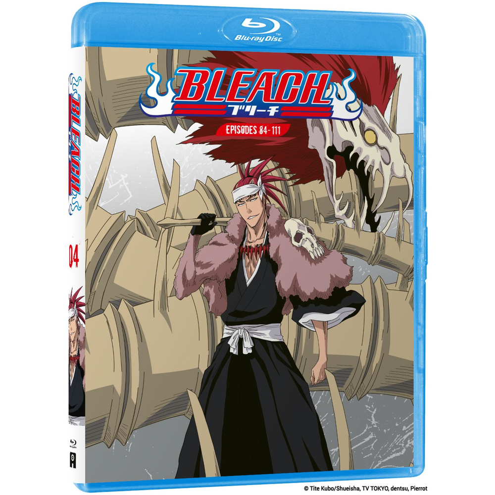 Bleach Vol 4 Afbeelding 1