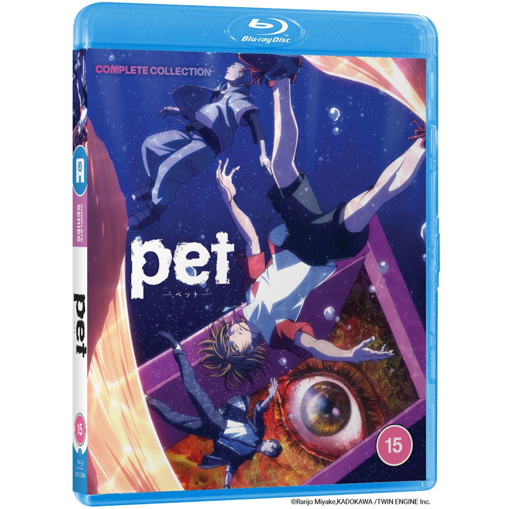 PET Afbeelding 1