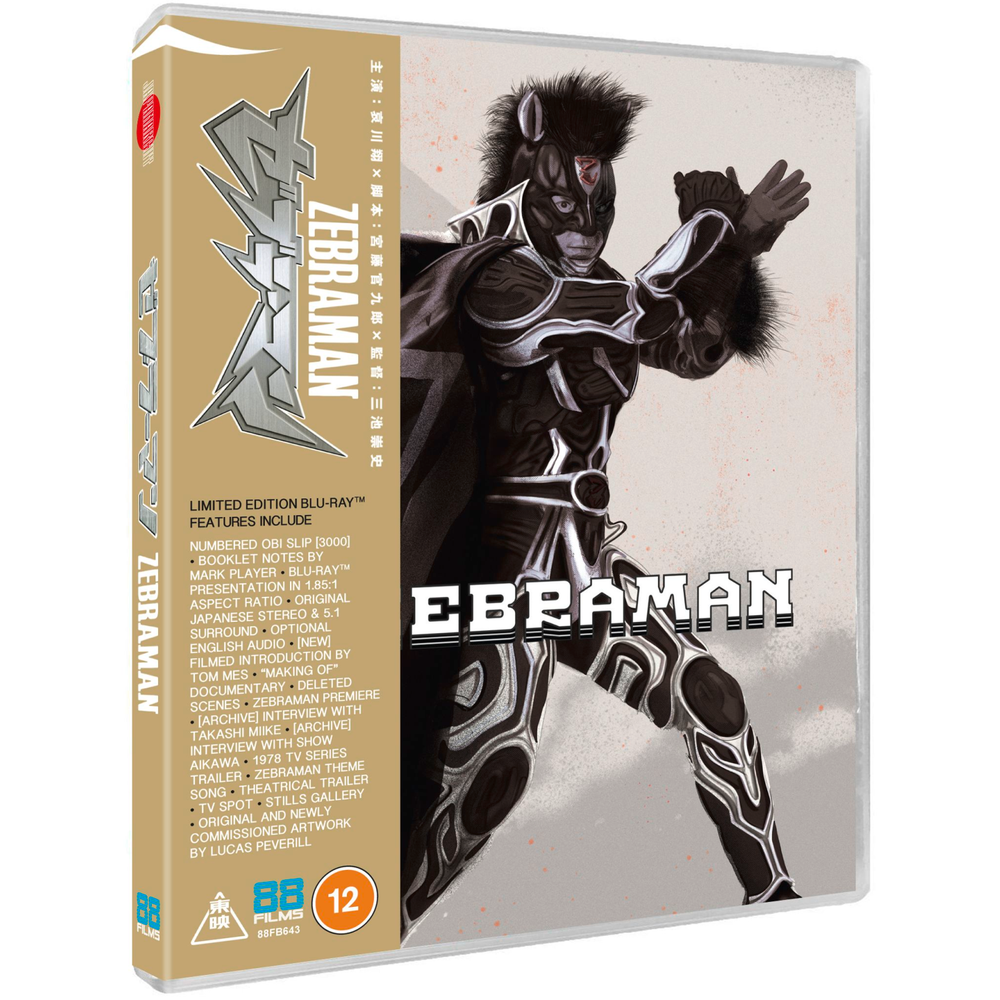 Zebraman Afbeelding 1