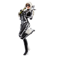 Hasbro Marvel Legends Series Gamerverse Black Cat Felicia Hardy Action Figure - undefined undefined