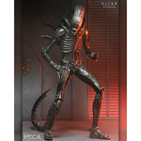 NECA - ALIEN: ROMULUS XENOMORPH XX121 ULTIMATE 7 INCH SCALE ACTION FIGURE