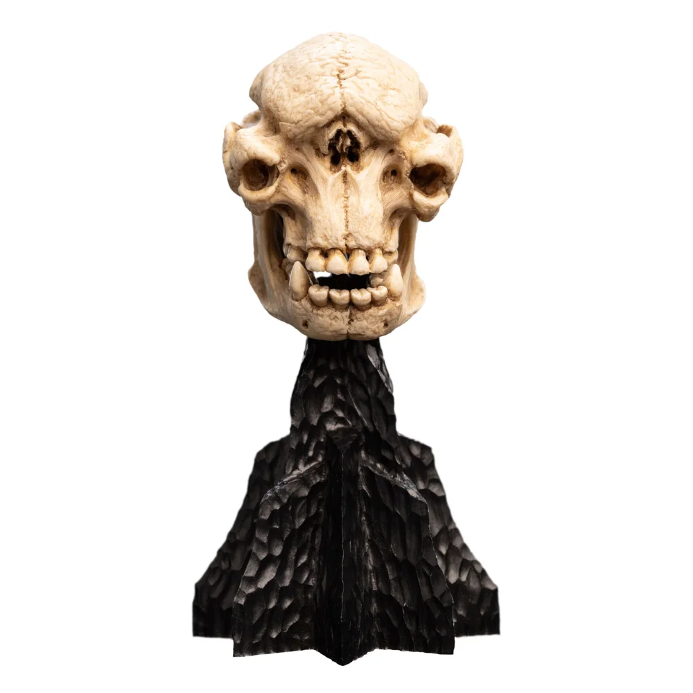 Weta Workshop Lord of the Rings Mini Statue Skull of a Cave Troll 21cm Afbeelding 1