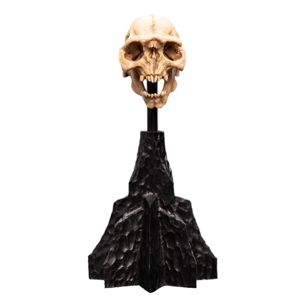 Weta Workshop Lord of the Rings Mini Statue Skull of a Moria Orc 13cm Afbeelding 1