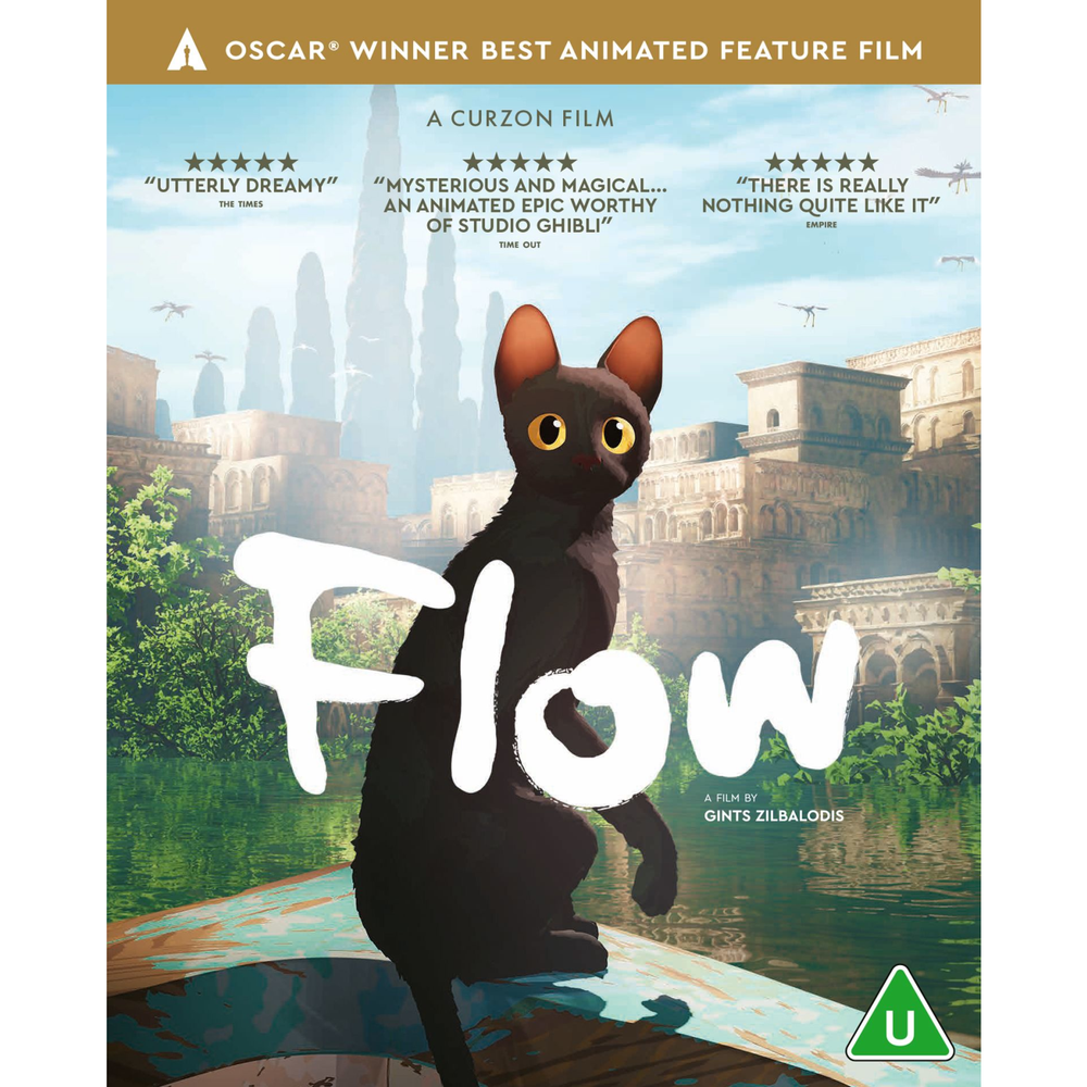 Flow Afbeelding 1
