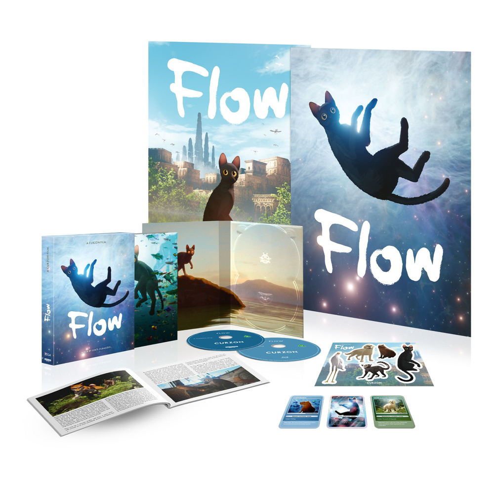 Flow Limited Edition 4K Ultra HD (includes Blu-ray) Afbeelding 1