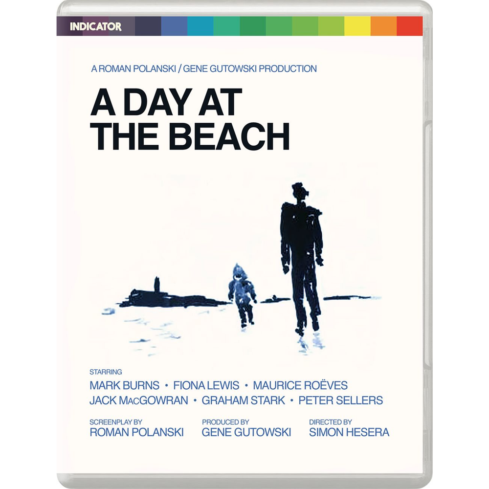 A Day at the Beach Limited Edition Afbeelding 1