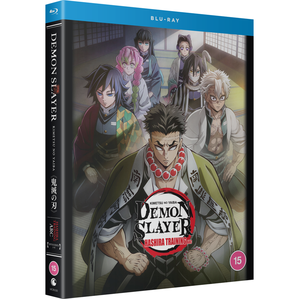 Demon Slayer: Kimetsu no Yaiba: Hashira Training Arc Afbeelding 1
