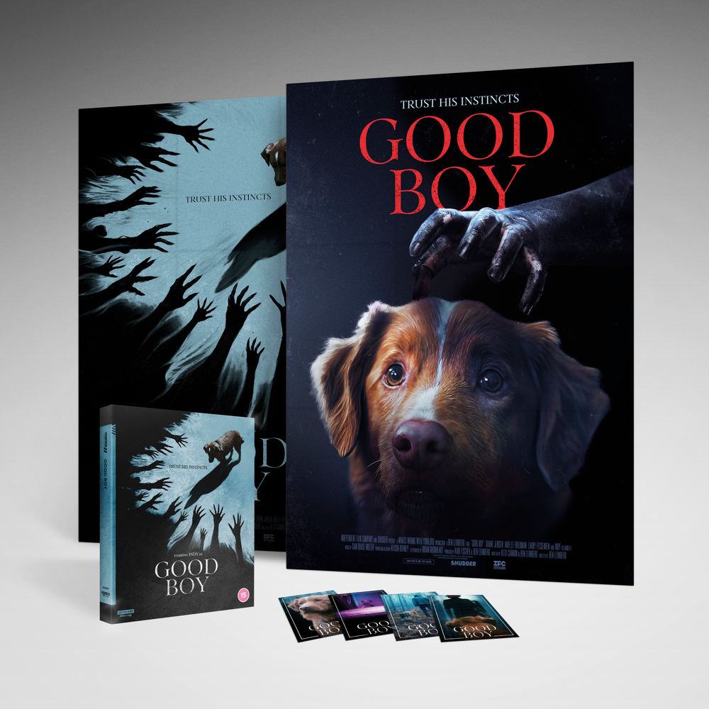 Good Boy 4K Ultra HD Afbeelding 1