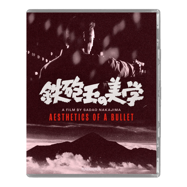 Aesthetics of a Bullet (Limited Edition)