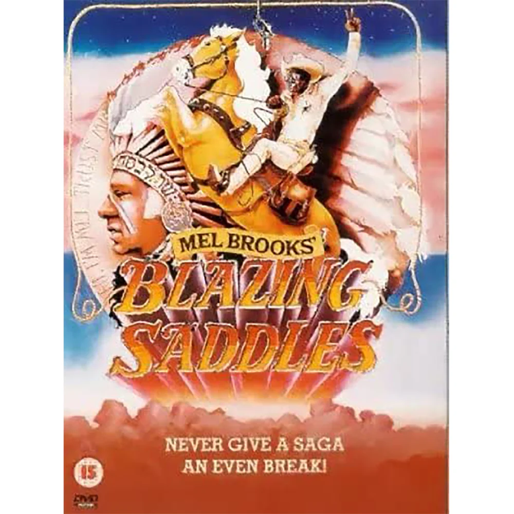 BLAZING SADDLES (WIDE SCREEN) (DVD) Afbeelding 1