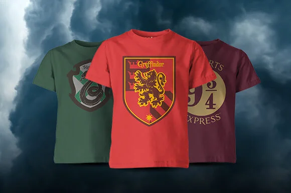 HARRY POTTER KINDER T-SHIRTS 2 VOOR 17.99€