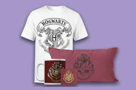 MEGA HARRY POTTER BUNDEL NU €26,99