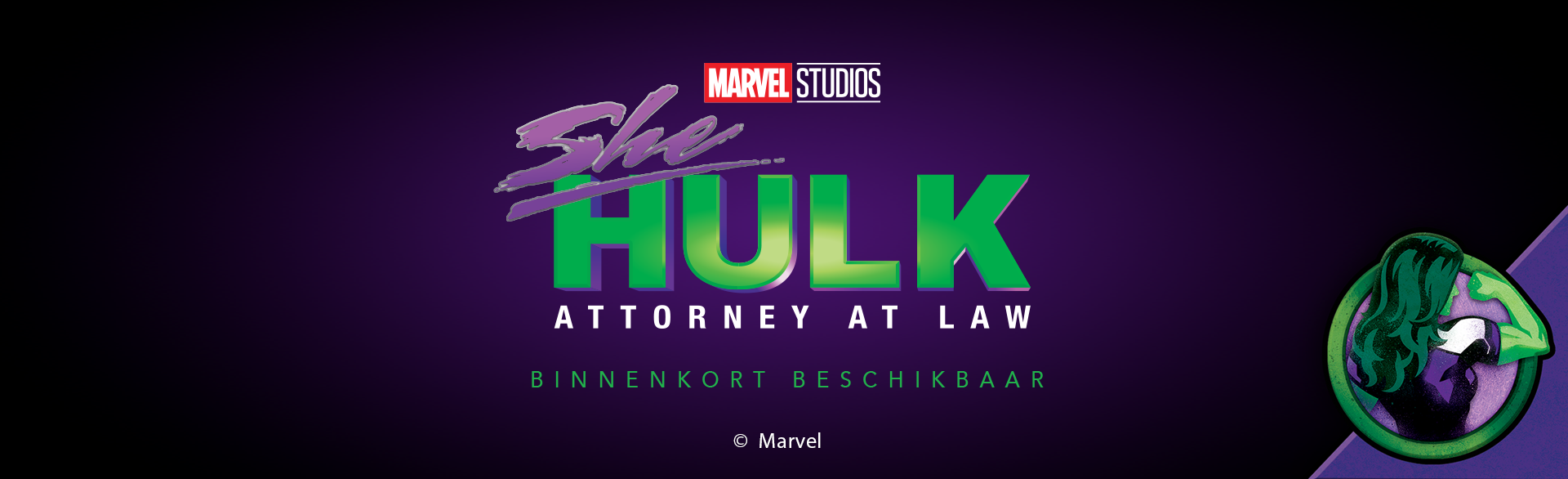 SHE HULK PRE-AWARNESS